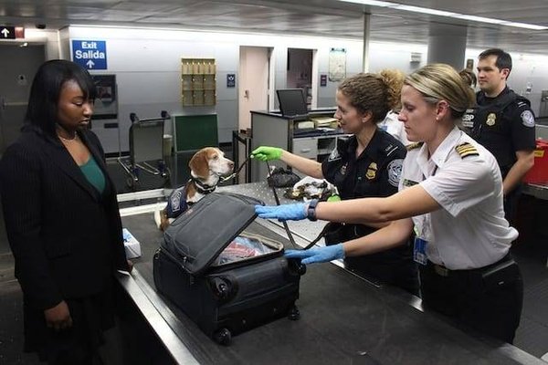 Quels sont les règles et les limites de poids pour les bagages en avion ?